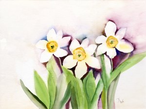 Tres narcisos